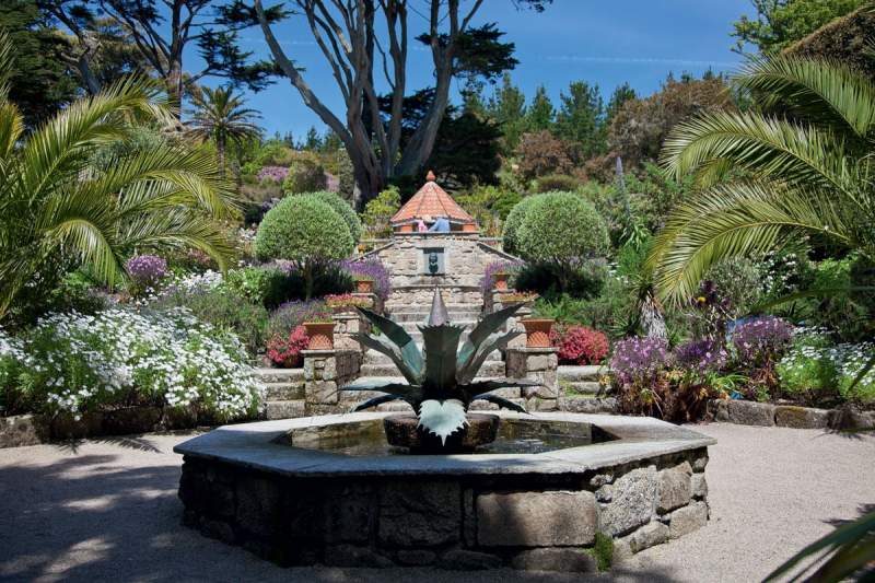 Tresco - The Island of Luxurious Relaxation image